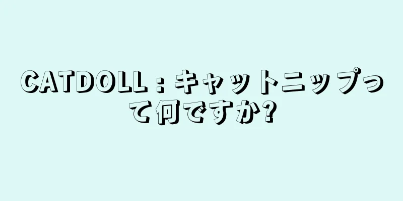 CATDOLL : キャットニップって何ですか?