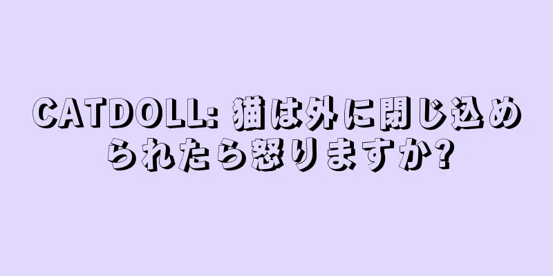 CATDOLL: 猫は外に閉じ込められたら怒りますか?
