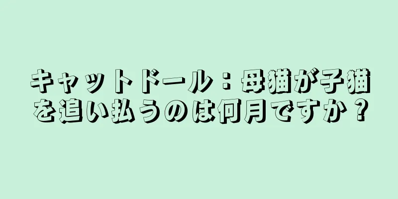 キャットドール：母猫が子猫を追い払うのは何月ですか？