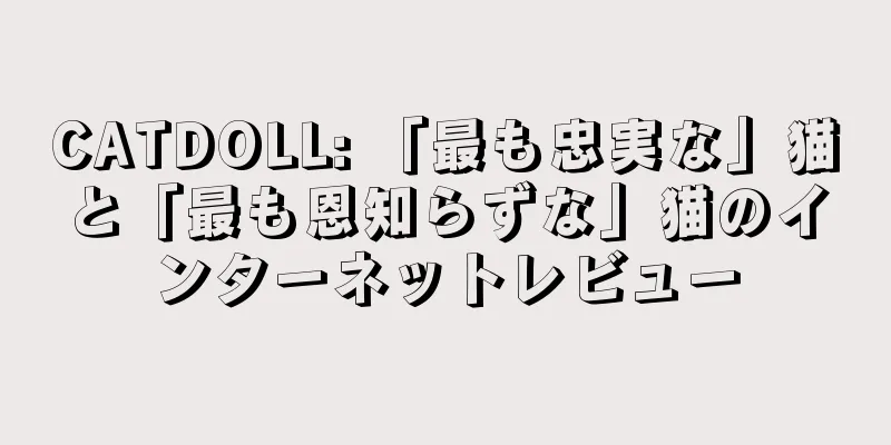 CATDOLL: 「最も忠実な」猫と「最も恩知らずな」猫のインターネットレビュー