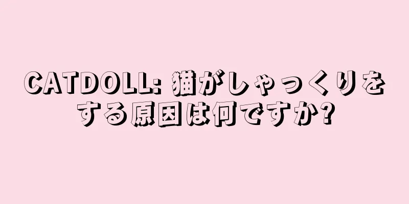CATDOLL: 猫がしゃっくりをする原因は何ですか?