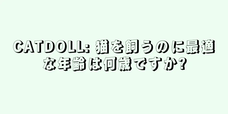 CATDOLL: 猫を飼うのに最適な年齢は何歳ですか?