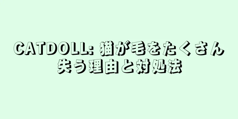 CATDOLL: 猫が毛をたくさん失う理由と対処法
