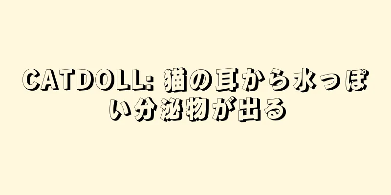 CATDOLL: 猫の耳から水っぽい分泌物が出る