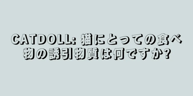 CATDOLL: 猫にとっての食べ物の誘引物質は何ですか?