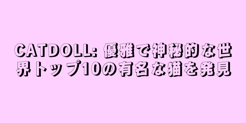CATDOLL: 優雅で神秘的な世界トップ10の有名な猫を発見
