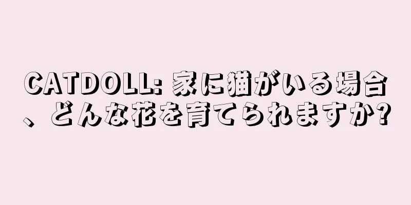 CATDOLL: 家に猫がいる場合、どんな花を育てられますか?