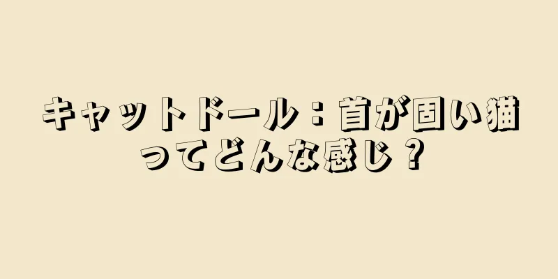 キャットドール：首が固い猫ってどんな感じ？