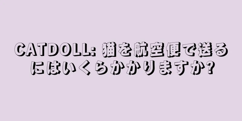 CATDOLL: 猫を航空便で送るにはいくらかかりますか?
