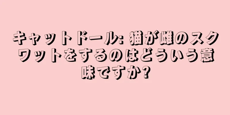 キャットドール: 猫が雌のスクワットをするのはどういう意味ですか?
