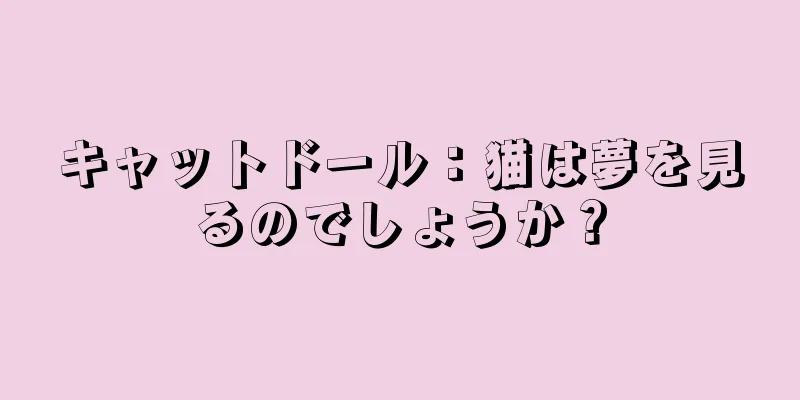 キャットドール：猫は夢を見るのでしょうか？