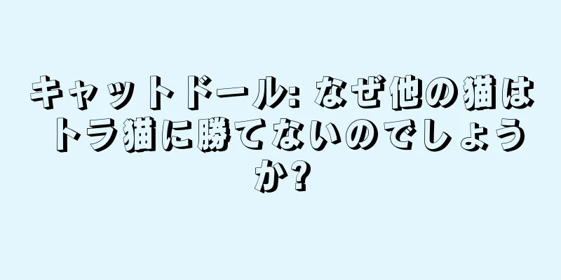 キャットドール: なぜ他の猫はトラ猫に勝てないのでしょうか?