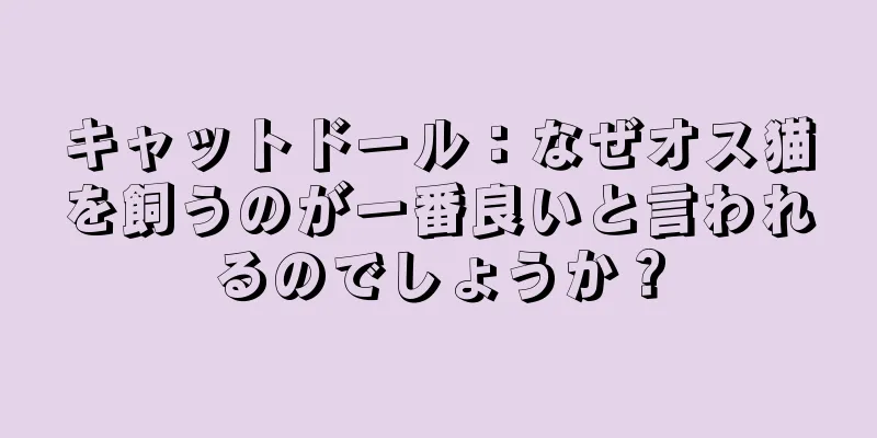 キャットドール：なぜオス猫を飼うのが一番良いと言われるのでしょうか？