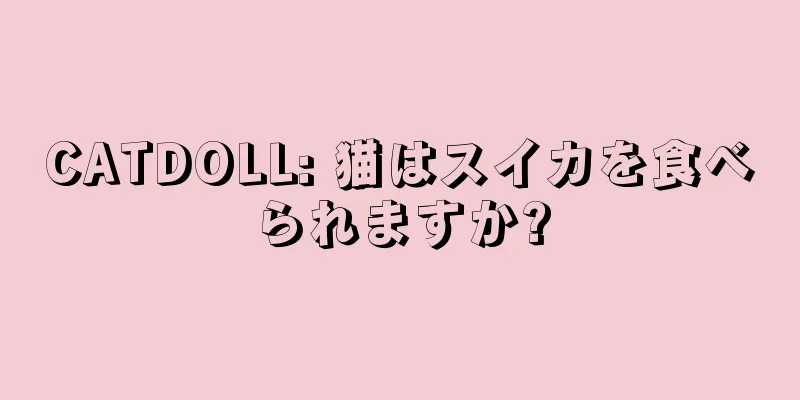 CATDOLL: 猫はスイカを食べられますか?