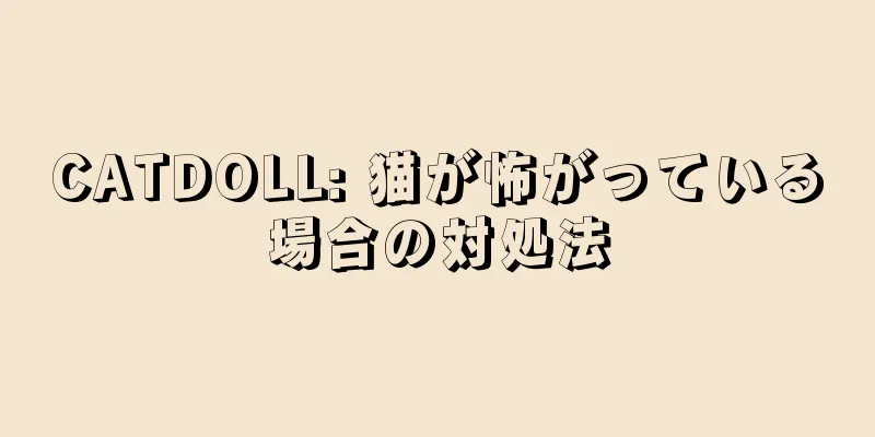 CATDOLL: 猫が怖がっている場合の対処法