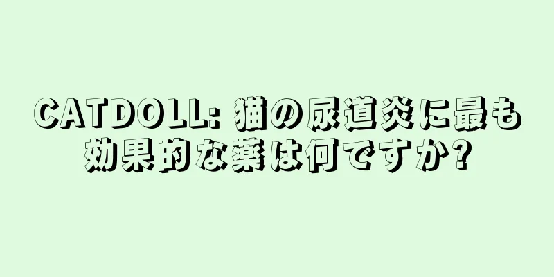 CATDOLL: 猫の尿道炎に最も効果的な薬は何ですか?