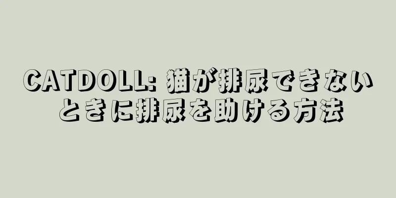 CATDOLL: 猫が排尿できないときに排尿を助ける方法