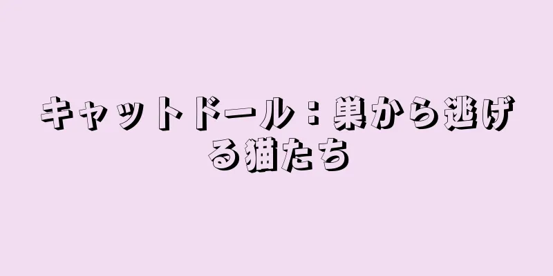 キャットドール：巣から逃げる猫たち