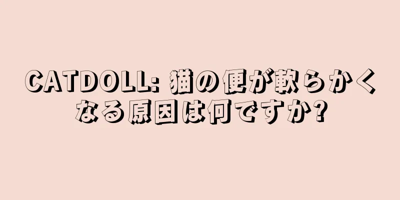 CATDOLL: 猫の便が軟らかくなる原因は何ですか?