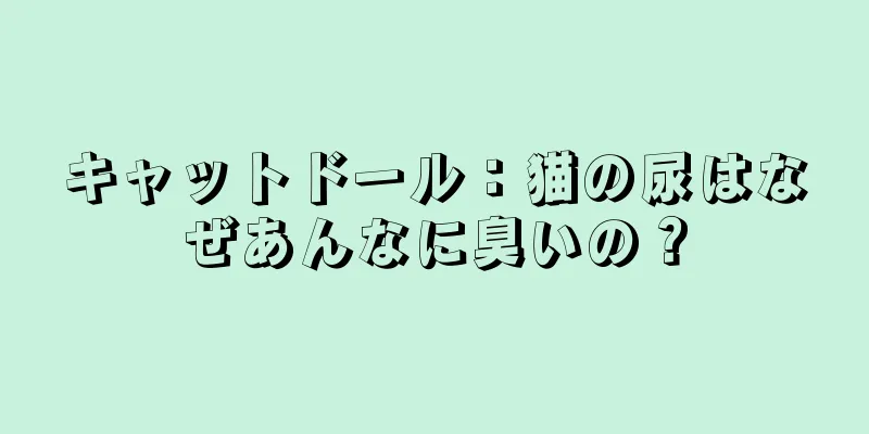 キャットドール：猫の尿はなぜあんなに臭いの？