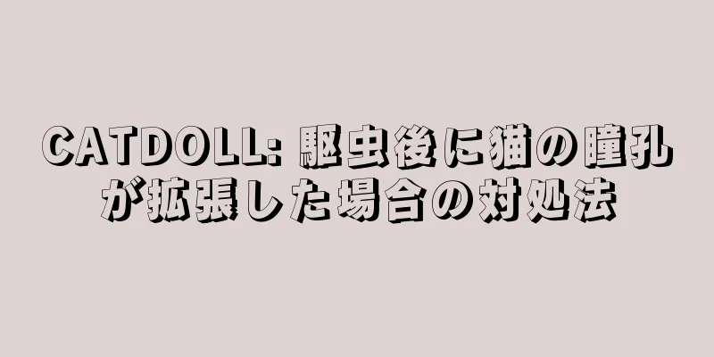 CATDOLL: 駆虫後に猫の瞳孔が拡張した場合の対処法