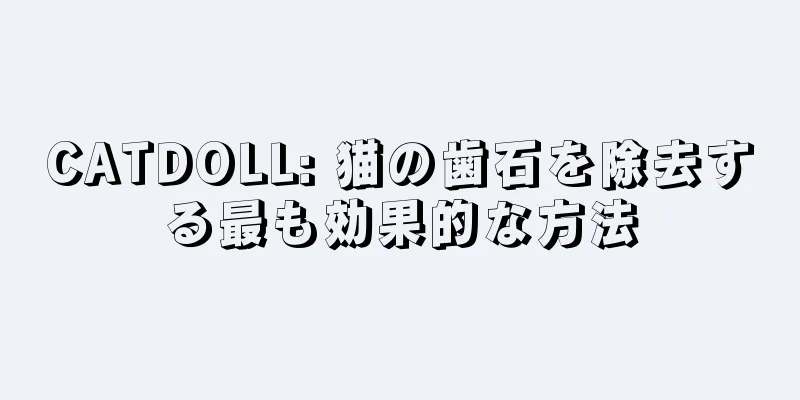 CATDOLL: 猫の歯石を除去する最も効果的な方法