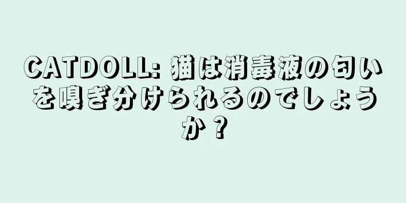CATDOLL: 猫は消毒液の匂いを嗅ぎ分けられるのでしょうか？