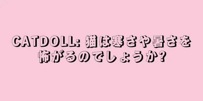 CATDOLL: 猫は寒さや暑さを怖がるのでしょうか?