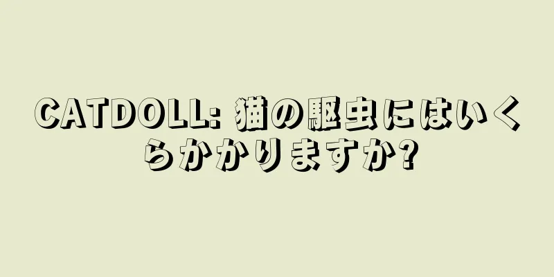 CATDOLL: 猫の駆虫にはいくらかかりますか?