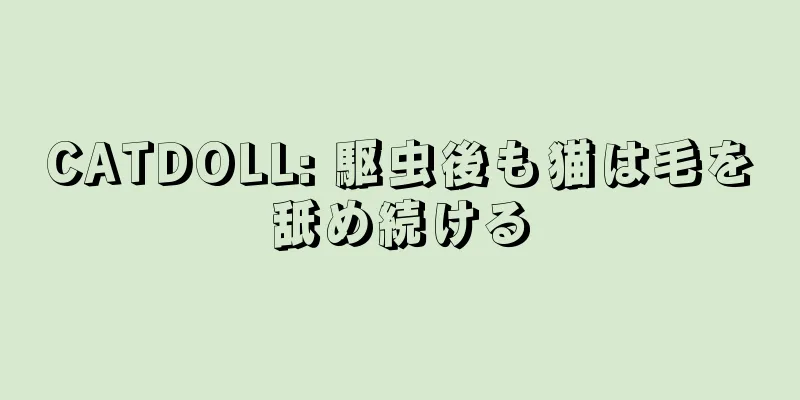 CATDOLL: 駆虫後も猫は毛を舐め続ける