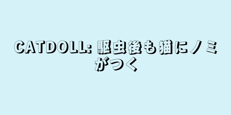 CATDOLL: 駆虫後も猫にノミがつく