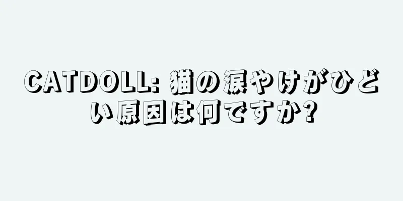 CATDOLL: 猫の涙やけがひどい原因は何ですか?