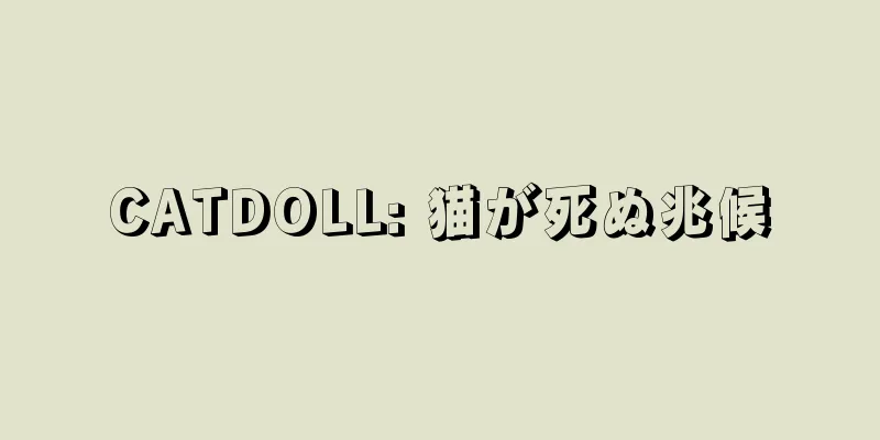 CATDOLL: 猫が死ぬ兆候