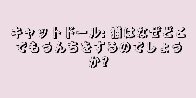 キャットドール: 猫はなぜどこでもうんちをするのでしょうか?