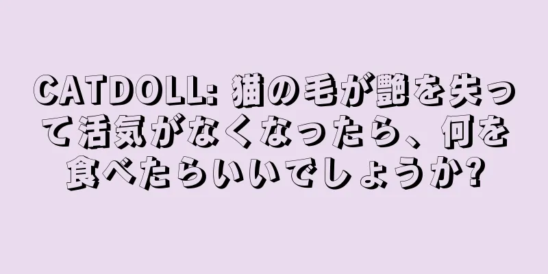 CATDOLL: 猫の毛が艶を失って活気がなくなったら、何を食べたらいいでしょうか?