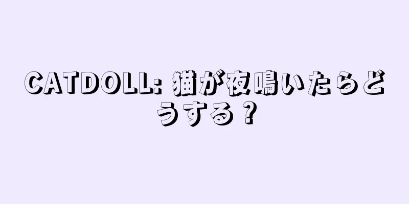 CATDOLL: 猫が夜鳴いたらどうする？