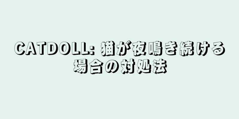 CATDOLL: 猫が夜鳴き続ける場合の対処法
