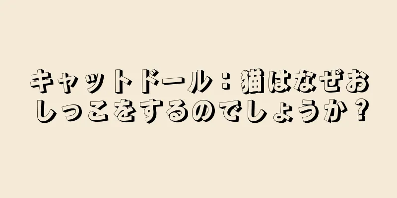 キャットドール：猫はなぜおしっこをするのでしょうか？