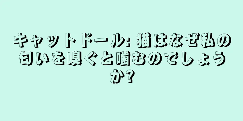 キャットドール: 猫はなぜ私の匂いを嗅ぐと噛むのでしょうか?