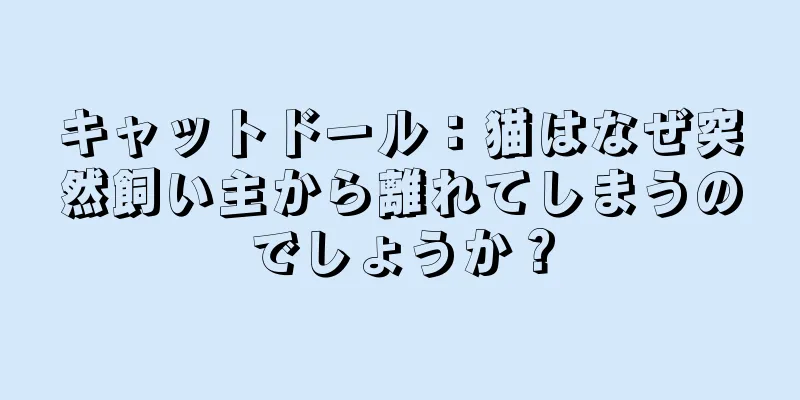 キャットドール：猫はなぜ突然飼い主から離れてしまうのでしょうか？