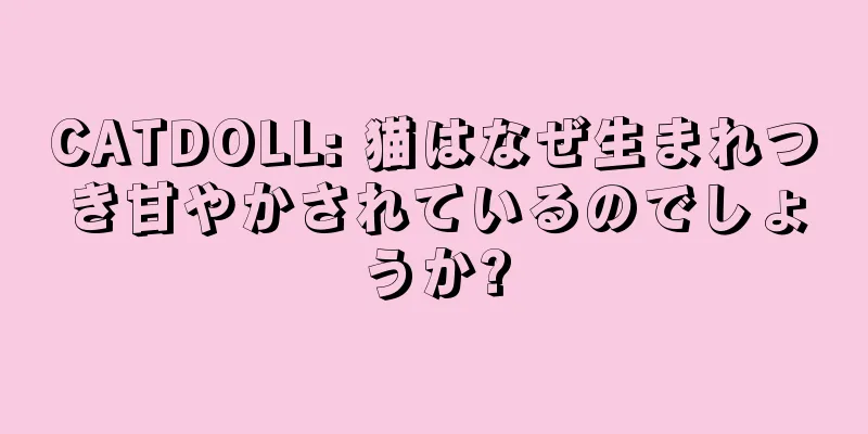 CATDOLL: 猫はなぜ生まれつき甘やかされているのでしょうか?