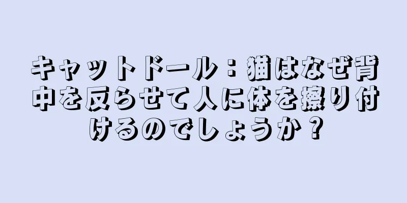 キャットドール：猫はなぜ背中を反らせて人に体を擦り付けるのでしょうか？