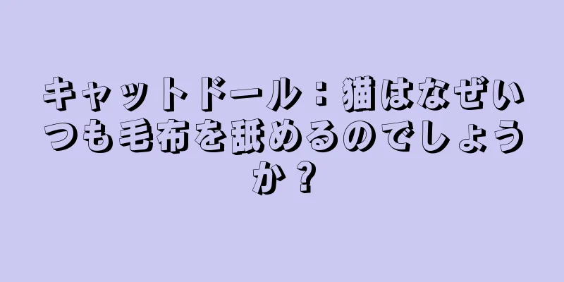 キャットドール：猫はなぜいつも毛布を舐めるのでしょうか？