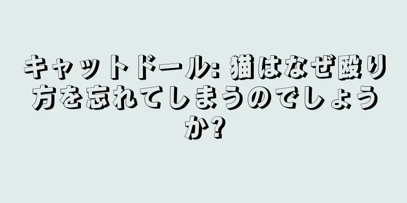キャットドール: 猫はなぜ殴り方を忘れてしまうのでしょうか?