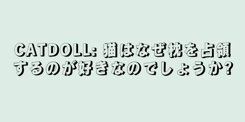 CATDOLL: 猫はなぜ枕を占領するのが好きなのでしょうか?