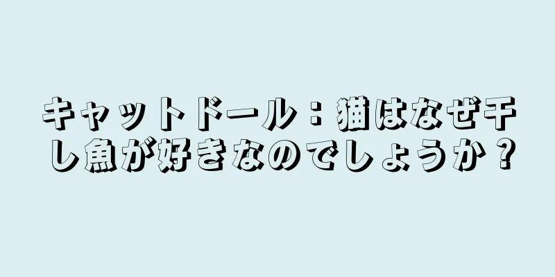 キャットドール：猫はなぜ干し魚が好きなのでしょうか？
