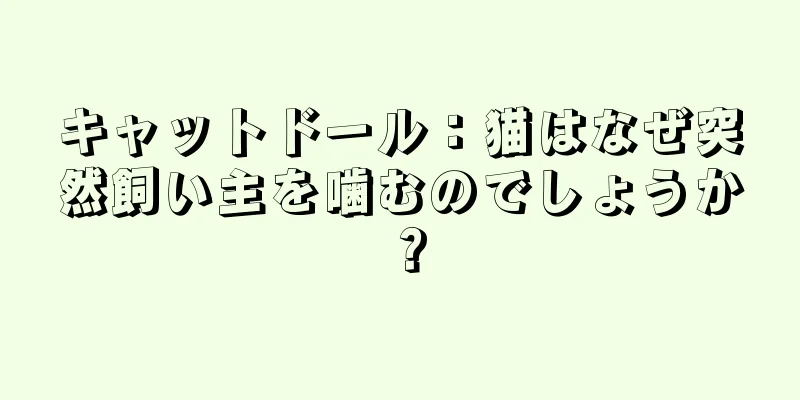 キャットドール：猫はなぜ突然飼い主を噛むのでしょうか？