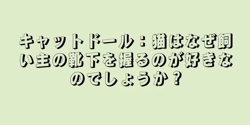 キャットドール：猫はなぜ飼い主の靴下を握るのが好きなのでしょうか？