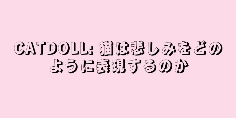 CATDOLL: 猫は悲しみをどのように表現するのか