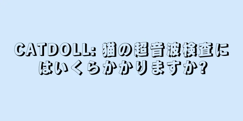 CATDOLL: 猫の超音波検査にはいくらかかりますか?